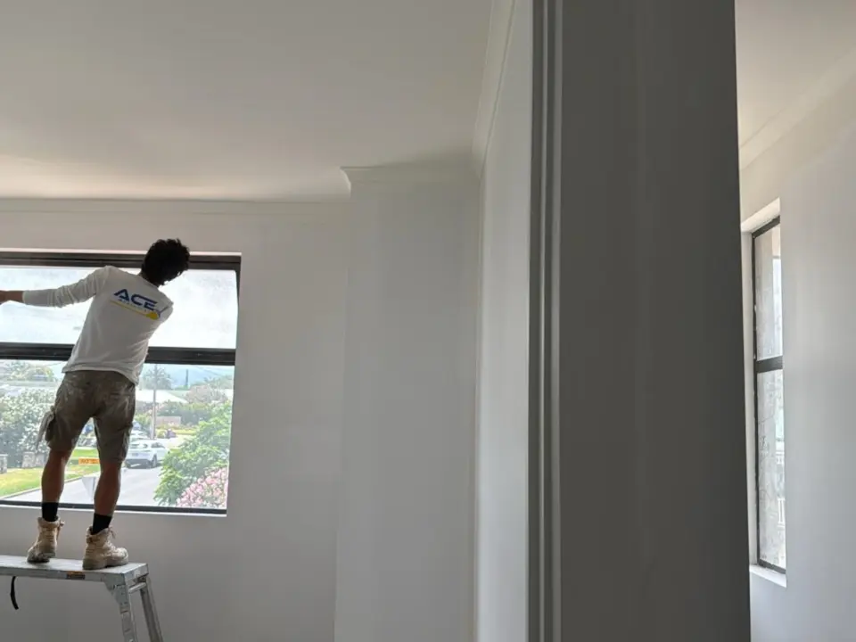 Ace Painters