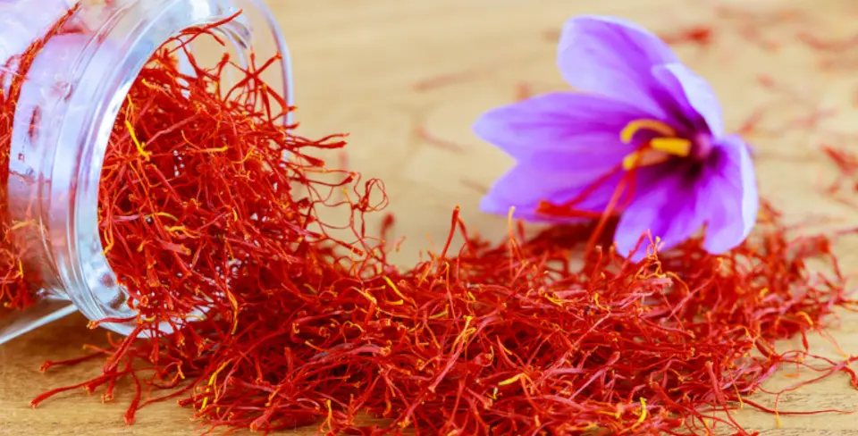 Saffron