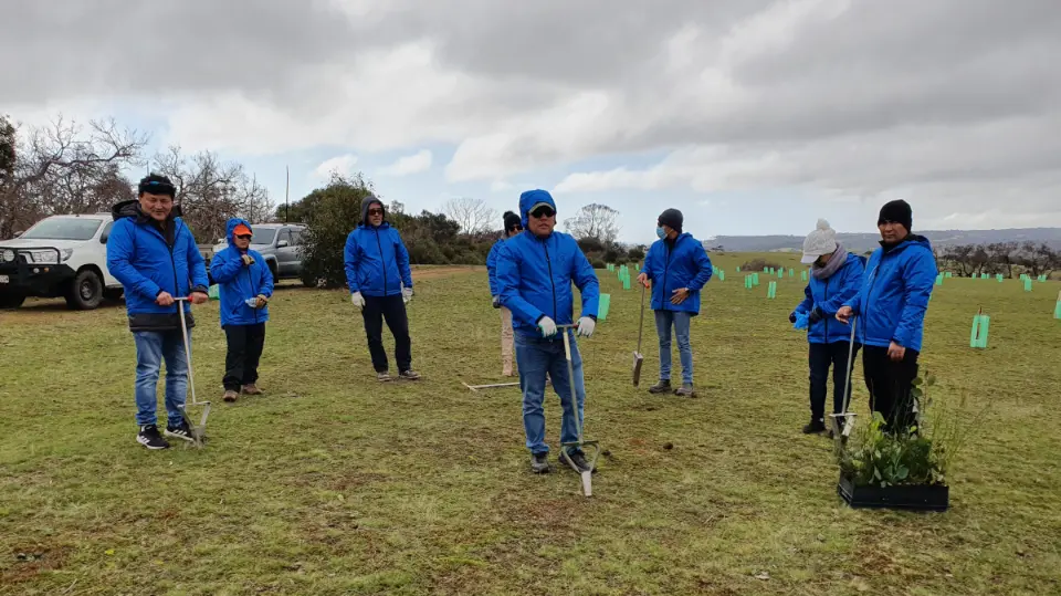 BMF Tree Planting on Kangaroo Island