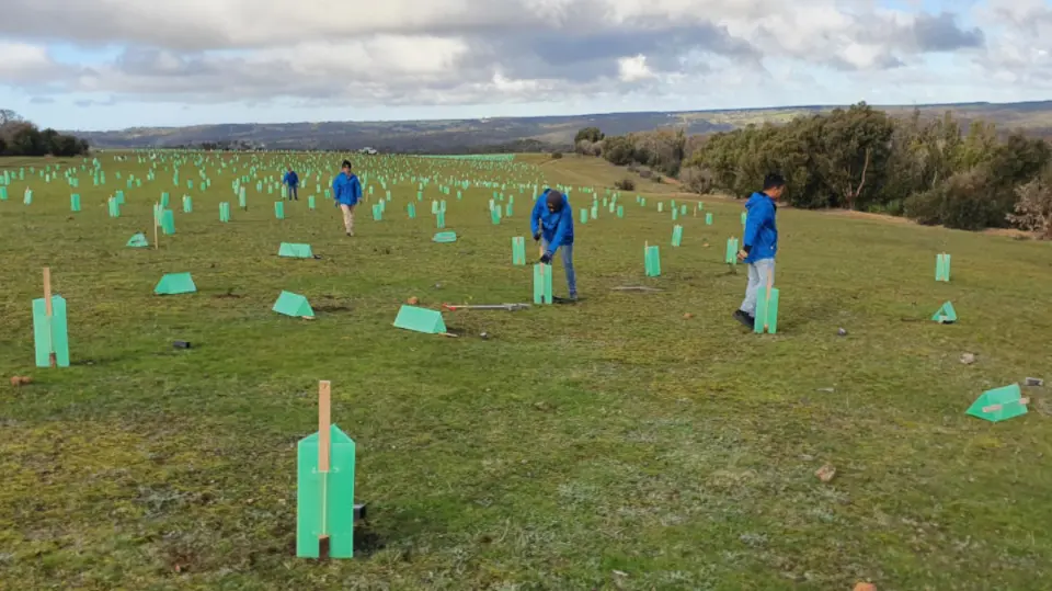 BMF Tree Planting on Kangaroo Island