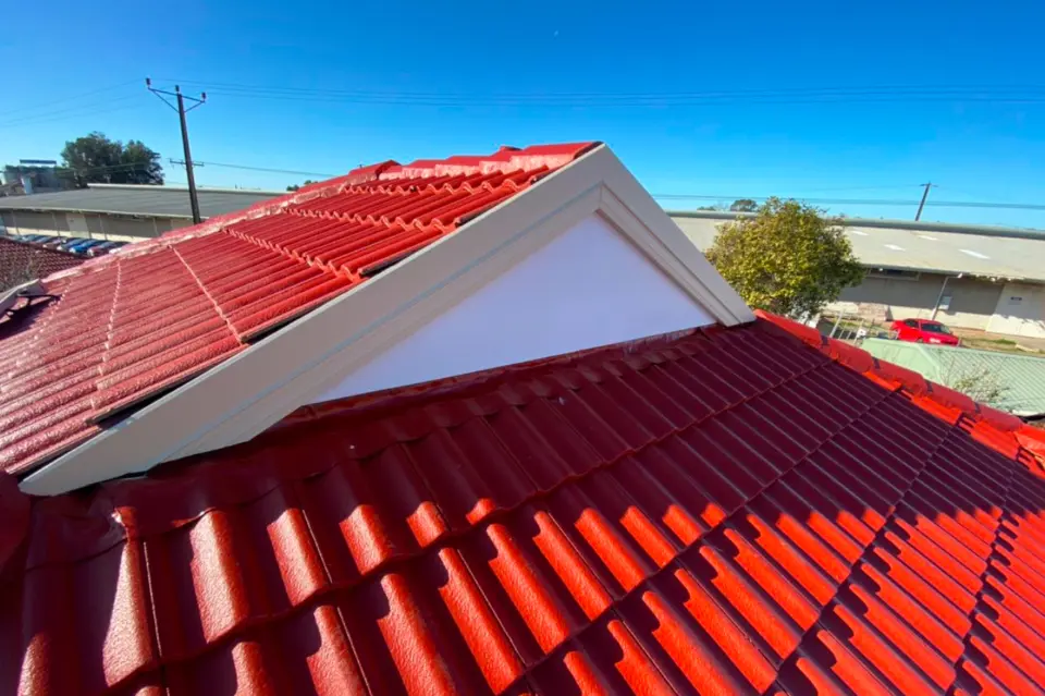 Roof Painting - Lux Painters